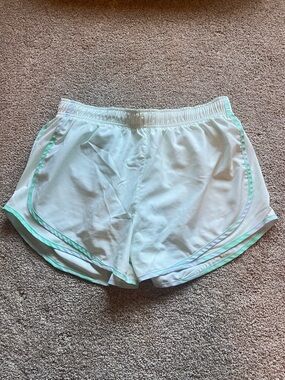 Nike Dri-fit Light Green Athletic Shorts with Mint Trim and Built-in Brief